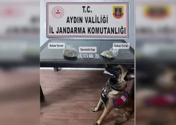 Delta, valizdeki uyuşturucuyu buldu