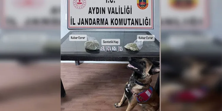 Delta, valizdeki uyuşturucuyu buldu