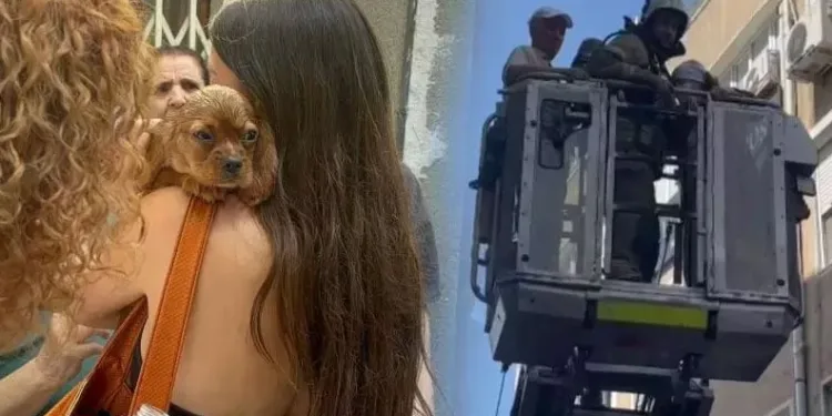 Şişli’de 6 katlı binada yangın paniği