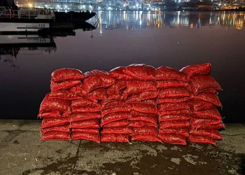 Beyoğlu’nda 75 çuval kaçak midye ele geçirildi