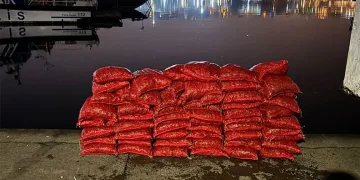 Beyoğlu’nda 75 çuval kaçak midye ele geçirildi