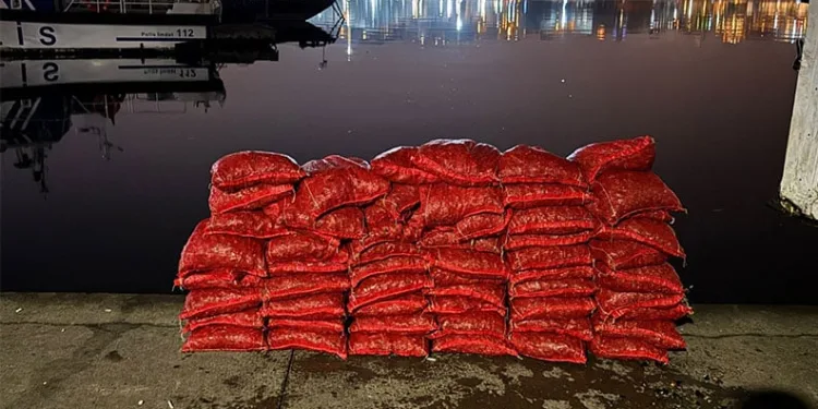 Beyoğlu’nda 75 çuval kaçak midye ele geçirildi