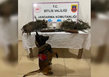 Tatvan’da 3 kilo 960 gram uyuşturucu ele geçirildi