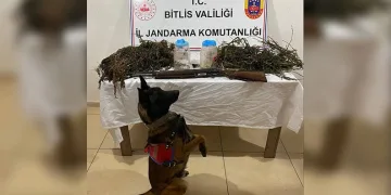 Tatvan’da 3 kilo 960 gram uyuşturucu ele geçirildi