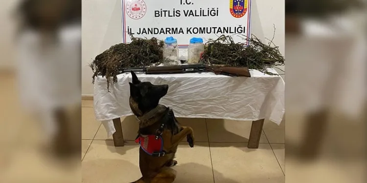 Tatvan’da 3 kilo 960 gram uyuşturucu ele geçirildi