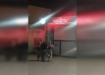 Sosyal medya üzerinden terör propagandası yaptıkları belirlenen 2 kişi yakalandı