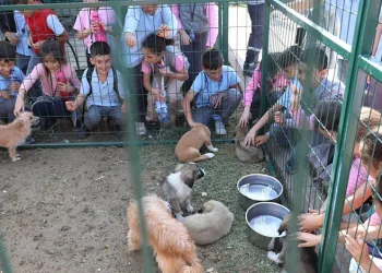 Hayvanları koruma gününe renkli kutlama