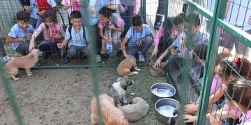 Hayvanları koruma gününe renkli kutlama