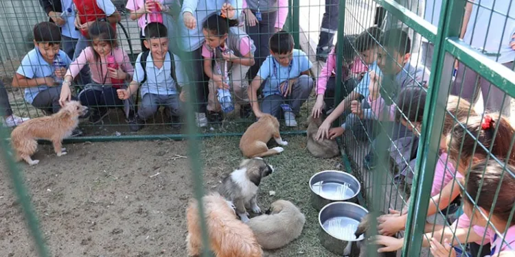 Hayvanları koruma gününe renkli kutlama