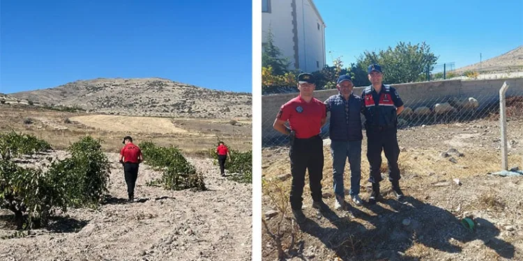 Kaybolan küçükbaş hayvanları JAK buldu