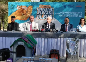 Bursa Büyükşehir’den Anlamlı Proje: “Yuvanız Yuvası Olsun”