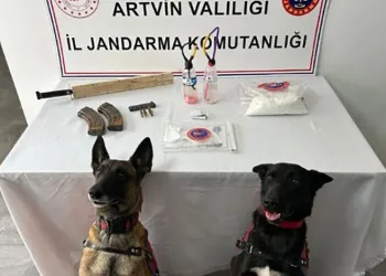 Jandarmanın durdurduğu aracın farından kaleşnikof şarjörü çıktı