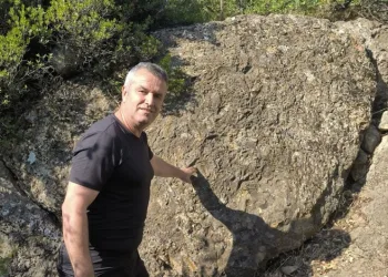 Bursa’da milyon yıllık fosiller bulundu