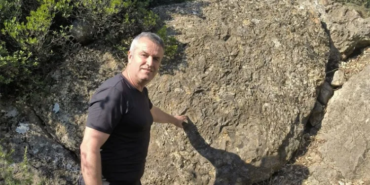 Bursa’da milyon yıllık fosiller bulundu