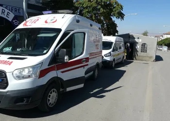 Aksaray’da sürüye saldıran kurtlar 100 koyunu telef etti