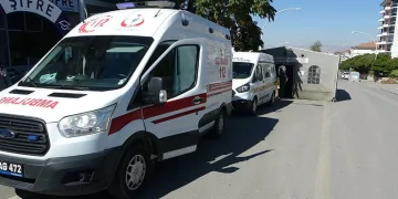 Aksaray’da sürüye saldıran kurtlar 100 koyunu telef etti