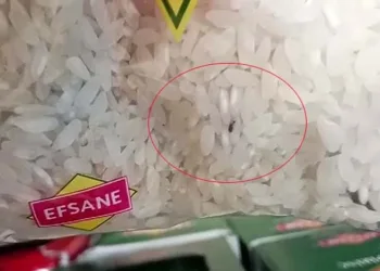 Markette böcek skandalı: Kapalı pirinç paketinden böcek çıktı