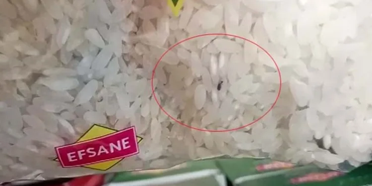 Markette böcek skandalı: Kapalı pirinç paketinden böcek çıktı