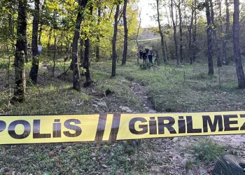 Hakkari’de araç şarampole yuvarlandı: 1 yaralı