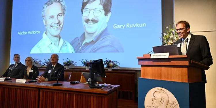 2024 Nobel Tıp Ödülü’ne ABD’li biyologlar Ambros ve Ruvkun layık görüldü