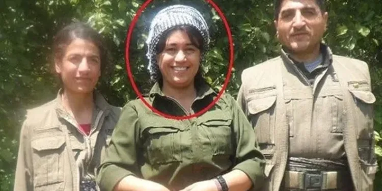 Canlı bomba saldırısı planlayan terörist etkisiz hale getirildi