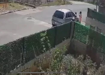 Gözüne kestirdiği çiçeği kökleriyle götürdü