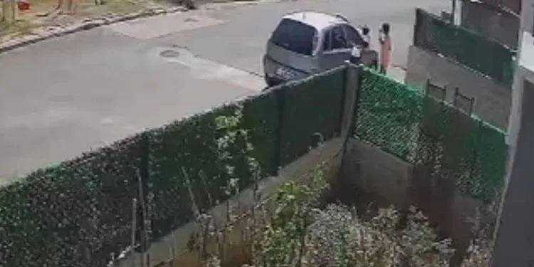 Gözüne kestirdiği çiçeği kökleriyle götürdü