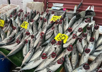 Palamudun fiyatı 80 liraya düştü