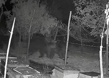 Bir kişiyi vurup bir kişiyi de darp eden 3 şahıs polisin ısrarla takibi sonrası yakalandı