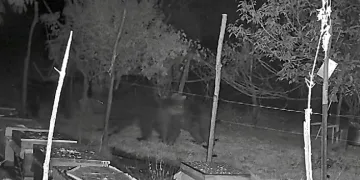 Bir kişiyi vurup bir kişiyi de darp eden 3 şahıs polisin ısrarla takibi sonrası yakalandı