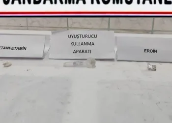 Van’da kaybolan Rojin 12 gündür aranıyor