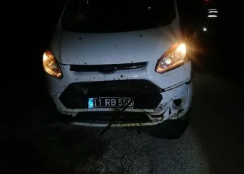 Dolandırıcılara eş zamanlı operasyon