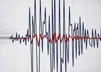 Pasinler’de deprem korkuttu