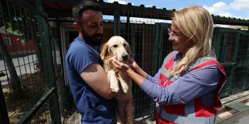 37 sokak hayvanı yeni yuvasına kavuştu