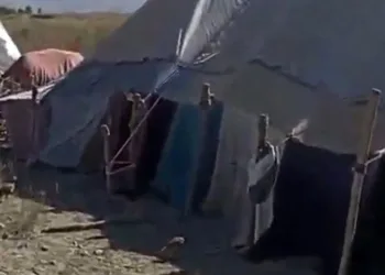 Van’da keklik avlayan kişiye 202 bin TL ceza