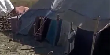 Van’da keklik avlayan kişiye 202 bin TL ceza