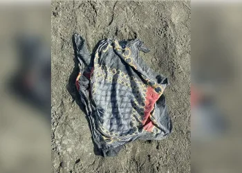 İçişleri Bakanı Ali Yerlikaya’dan Rojin açıklaması