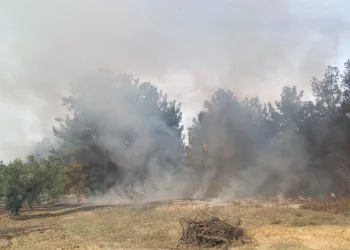Mudanya Devlet Hastanesi yakınlarında yangın çıktı!