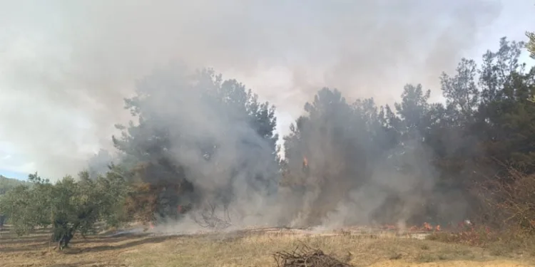 Mudanya Devlet Hastanesi yakınlarında yangın çıktı!