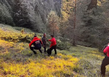 Yaşlı çift ormanda ölü bulundu
