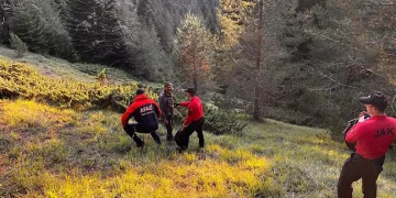 Yaşlı çift ormanda ölü bulundu