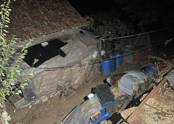 Bahçede bulunan cesedin kimliği belli oldu, arkadaşı çıktı