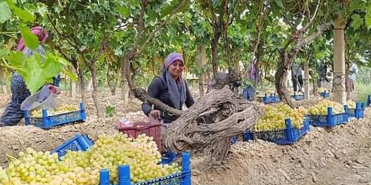 Kastamonu’da ebeveynler ile çocuklar arasındaki iletişim bu akademide güçlenecek
