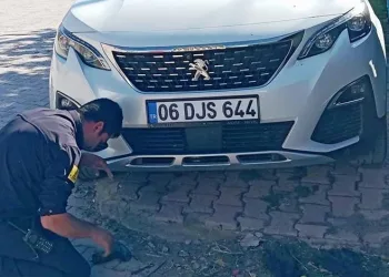 Samsun’da 371 sentetik ecza ele geçirildi