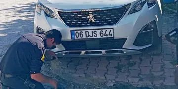 Samsun’da 371 sentetik ecza ele geçirildi