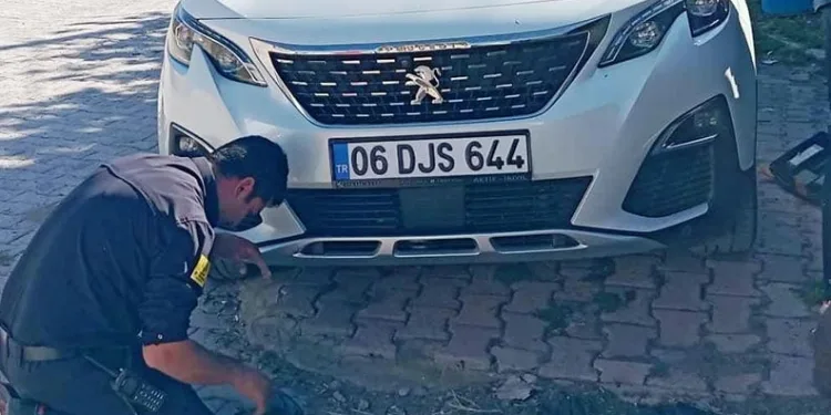Samsun’da 371 sentetik ecza ele geçirildi