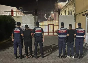 Öğrenciler ile terör örgütü mensuplarını buluşturan dernek yöneticisi yakalandı