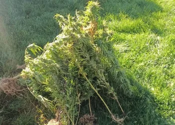 Tekirdağ’da platonik aşk cinayetinde ölü sayısı 2’ye yükseldi