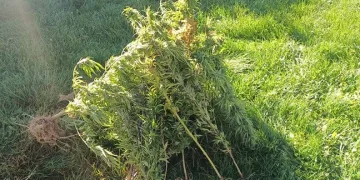 Tekirdağ’da platonik aşk cinayetinde ölü sayısı 2’ye yükseldi
