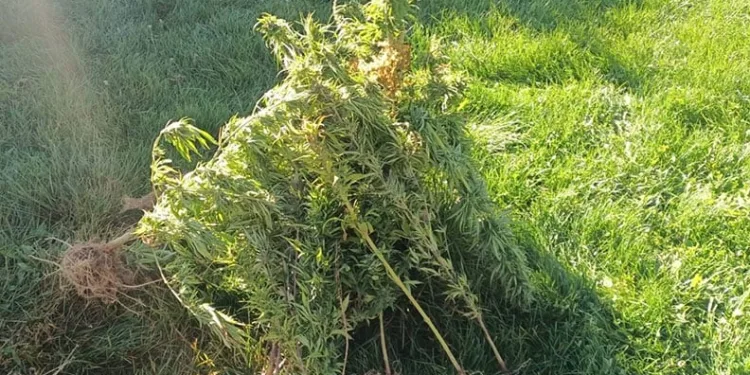 Tekirdağ’da platonik aşk cinayetinde ölü sayısı 2’ye yükseldi